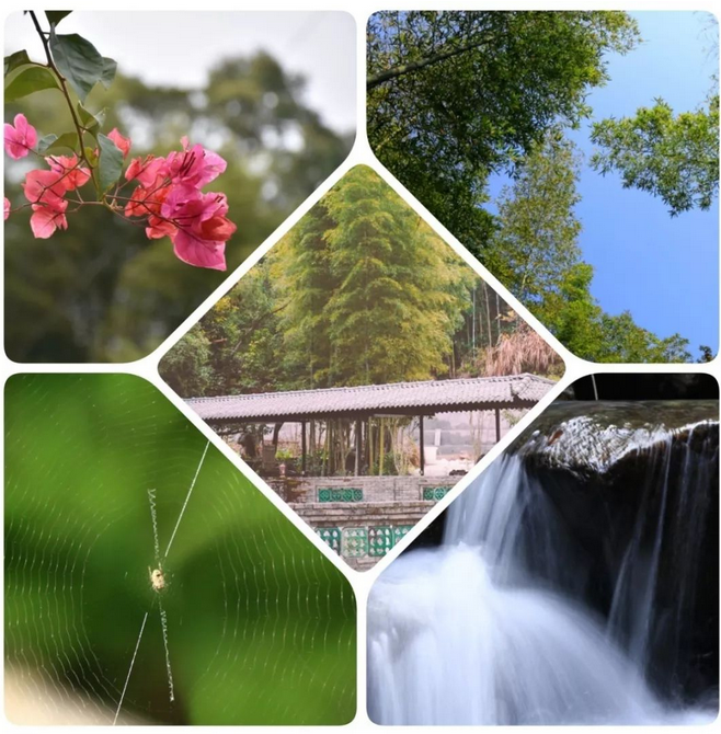 1514452443956035417.png 图片.png